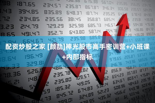 配资炒股之家 [颜劼]神光股市高手密训营+小班课+内部指标